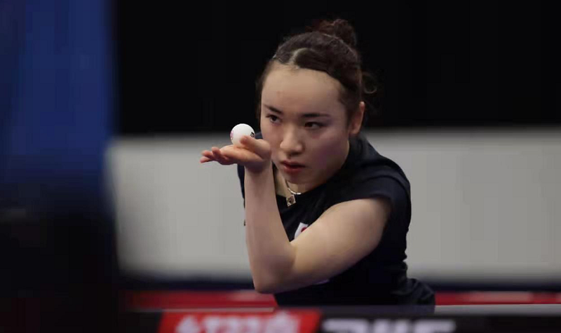 无疑填补了 无疑填补了