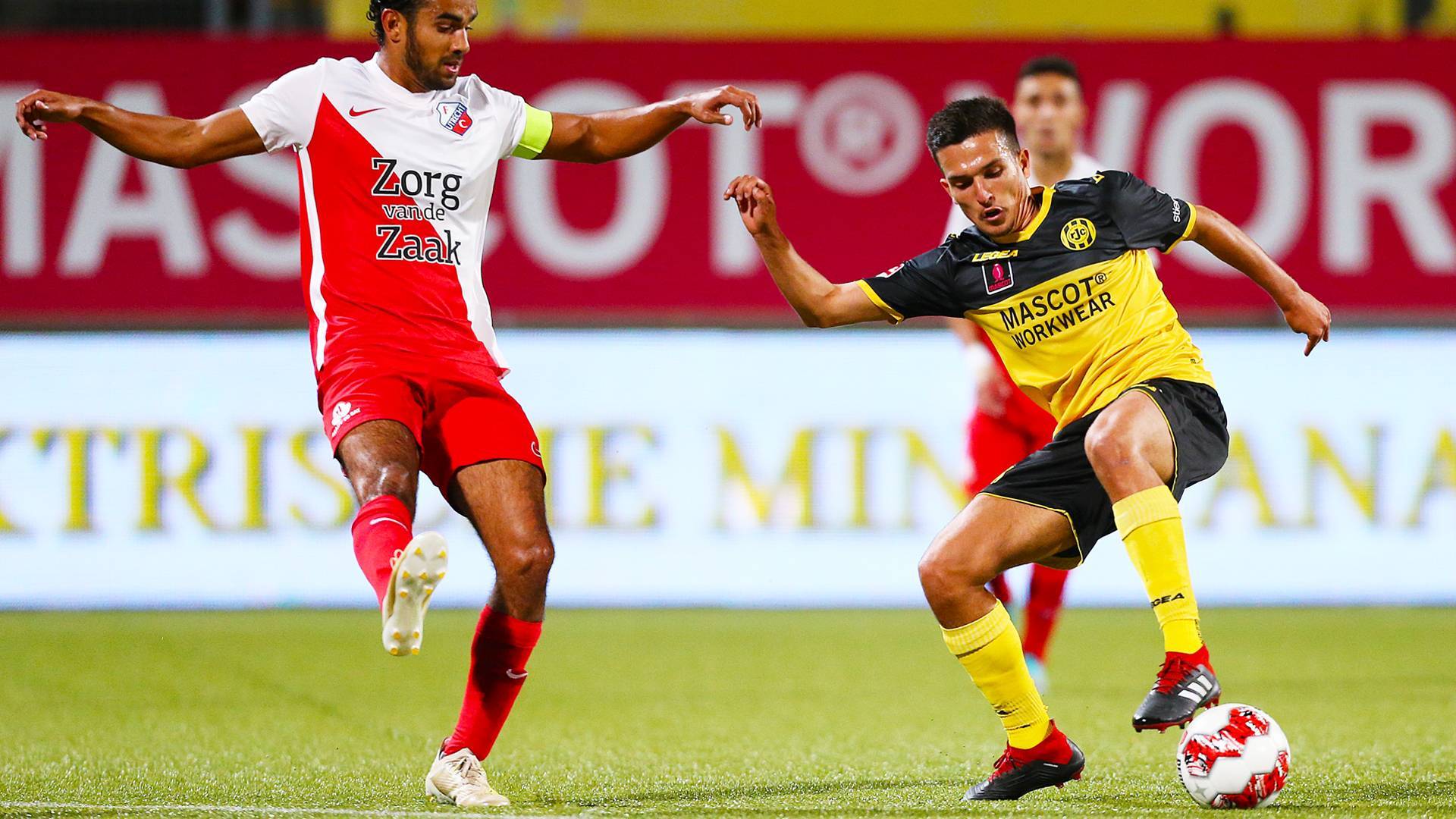 国内引进了 国内引进了