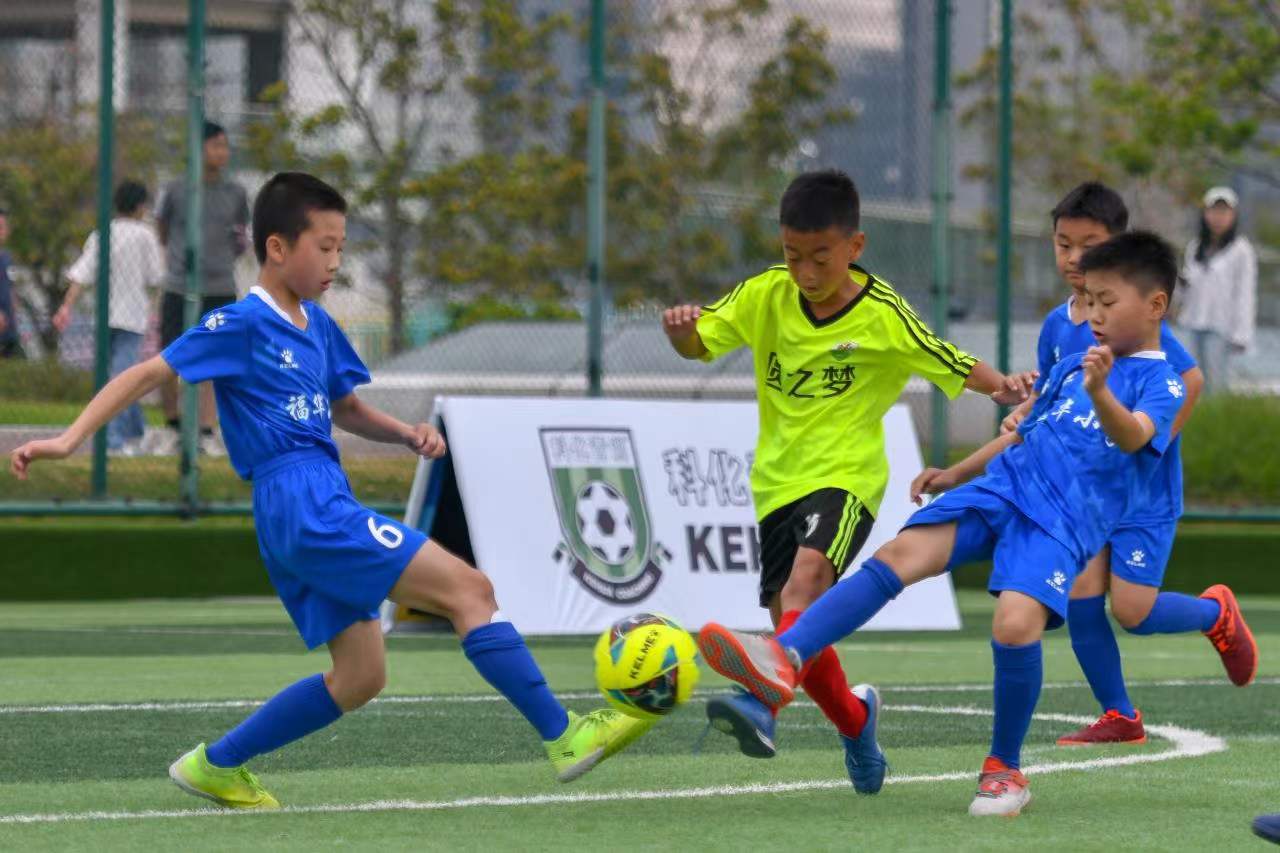 动的比赛语 动的比赛语